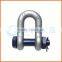 Factory Price Customized d Shackle With Square Head Pin