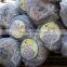 Galvanized Chain Link Fence/ Rhombus wire mesh
