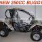 EEC 250CC BEACH BUGGY/PEDAL GO KART(MC-441)