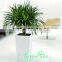 household plant pot made in China