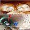 Underground waterproof Plastic Drainage Sheet Dimple Drainage Board