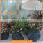 New Design Customize Window Display Artificial Fabric Mushroom