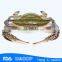 HL003 Rich nutrition swimming crab for sale