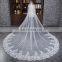 HSP1702 Luxury Real Photo Wedding Veils 3 Meters Long Lace Appliqued Bridal Veil