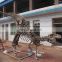Dinosaur Museum High Simulation Dinosaur Skeleton Fossil
