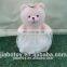 Teddy Bear toy plush teddy wedding dress with Couple in valentines day