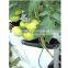 Outdoor Agricultural Inexpensive Poly Recycling Grow Bag