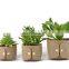 High quality low cost plant grow bag