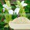 Premium Quality Adhatoda Vasica Powder At Your Door Step