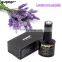 2021 new inventions Girl dark purple nail art private label vanish soak off uv gel nail polish in stock