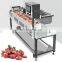 Easy Operation Meat Skewer Machine BBQ Chicken Fish Kebab Skewer Making Machine