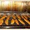 Stainless Steel Smokehouse Oven for sausage smoking fish meat smoke oven factory price
