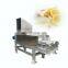 Shuliy coconut milk squeezer with fruit squeezer machine fruit and vegetable pulp press machine
