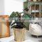 New Design Traditional Large Bamboo Plant Holder Planter Pot Custom Lining Inside Wholesale Vietnam Supplier