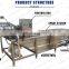 Industrial Fruit Cleaning Processing Machine Vegetable Bubble Washing Machine