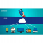 Efficiency Redefined Custom Software Development for International Markets