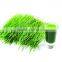 Nature & Original WheatGrass Powder Producers