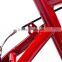RASTAR MINI Licensed Carbon steel 16 inch exercise bike for kids