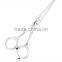 Professional Hair Scissors SM