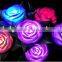 Dream Rose LED Lamp Will Never Wither