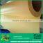 Self adhesive protective film