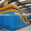 Hot Sale Inflatable Slide Jumper/ Inflatable Slider