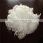 PLA Staple Fiber Hot Sale 2016