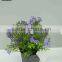 high quality bonsai tree,bonsai pot for landscape