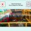 China Professional Tyre Curing Press Machine