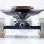 2.4G Remote Control Two Motor Wheels electric skateboard Longboard Skate Board