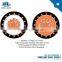 IEC 60502 Standard Low Voltage XLPE Insulated 8AWG 6AWG 4AWG Copper Concentric Cable