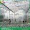 Large Sawtooth type types of greenhouses building greenhouses