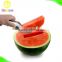 New perfect easy quick watermelon knife