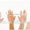 Ozone max deodorant boxing glove dryer deodorizer