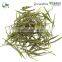Authentic Handmade Anji Bai Cha(Anji White Tea) Vital Green Tea