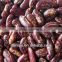 2015 crop kidney bean