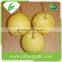 2015 new crop fresh shandong pear