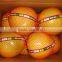 Chinese Fresh Honey Pomelo from Factory