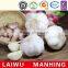 Organic normal pure white fresh garlic price