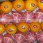 Orange Color Fresh Lemon citrus