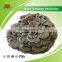 Best Seller of Dried Trametes versicolor