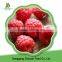 High Quality Frozen Raspberry Crumble and Broken Raspberry