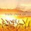 Nature modennite zeolite for water treatment