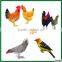 Hotsale Best Price mini chicken plucker machine