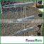 Electric Fence Hot-Dipped Galvanized Tension Spring