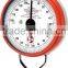 Spring weighing hanging scale