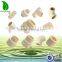 PVC CPVC Plastic Pipe Fittings 90 Degree Elbow Coupling Reducing