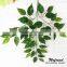 Factory direct plastic handle high simulation banyan tree leaf green leaf decoration sets do wholesale shooting