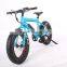 New design wholesale 20 inch electric bike fat tire electric bike