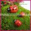 Mini CUTE fashional Resin decoration, Mini coccinella septempunctata Beatles Micro landscape furnishing articles